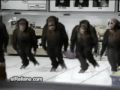 Majmunat Gajde.. Kalle Kalle By Dj Shock ...*2009*