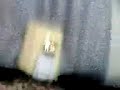 slingshot rifle homemade bowgun slingshot rifle homemade bowgun