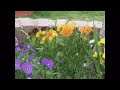 LOS CEREZOS MENDOZA (1) (1).flv