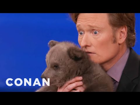 Animal Expert David Mizejewski: Brown Bear Cub & Baby Alligator - CONAN on TBS