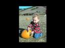 Theo at The Pumpkin Patch
