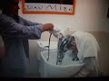 Shampooing long hair forward