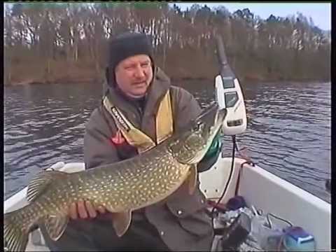 windermere - Pike fishing on this big lake. Several fish caught by trolling deadbaits, unfortunately fishing with freshwater baits is no longer allowed. This is to protec...