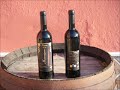 VENDIMIA 2010 TORROX BODEGAS MEDINA Y TORO