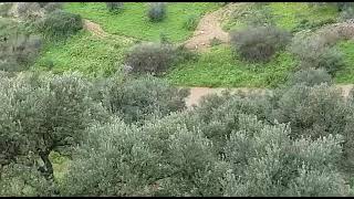 واد بيت امين محافظة قلقيليه تصوير ايمن الحج