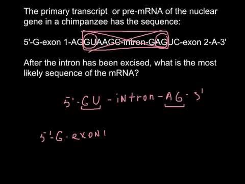 how to know dna sequence