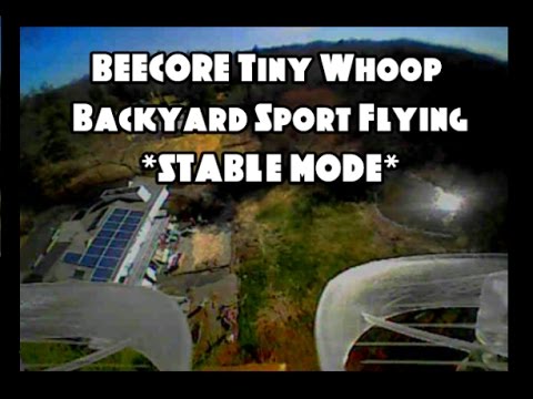 BEECORE - Tiny Whoop | Backyard Sport Flying *STABLE MODE* #1 (BANGGOOD)