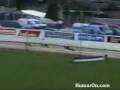 videos de Greyhound Race