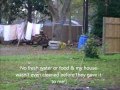 Maxton Animal Cruelty & Neglect Overlooked