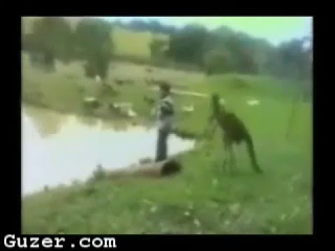 U GOT OWNED AGAIN!!!