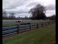 British GT PANOZ VS 430GT