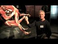 Resolving Knee Pain