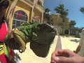 Cabo sesh: Spencer Nuzzi