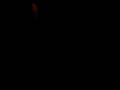 videos de Birthday.AVI