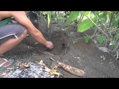 how to eliminate cyanide from cassava