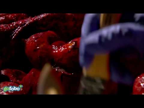 Behind the Scenes with "The Crazies" Part 3