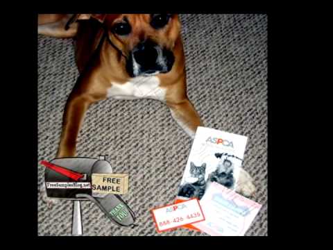 Free Sample Castor & Pollux ASPCA Pet Safety Pack