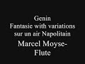 marcel moyse - Genin-Fantasie with variations sur un air Napolitain, , Flute