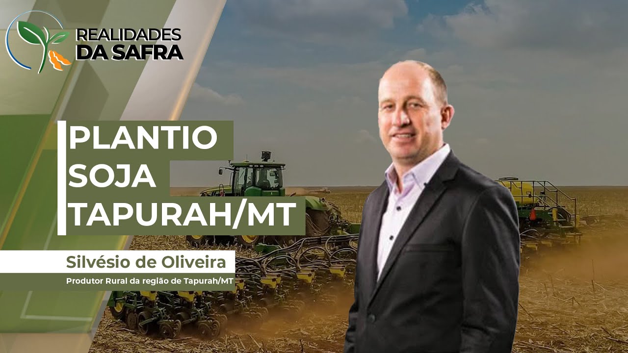 Desenvolvimento do plantio da soja em Tapurah/MT