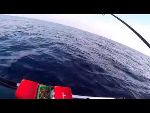 ловля мерланга в черном море ловля мерланга в черном море
