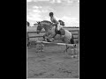 Horse Video Collab..Why i ride..:)