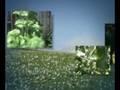 videos de Green
