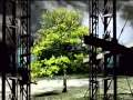 William Orbit Adagio For Strings