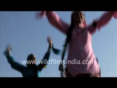 Gidda dance of Punjab