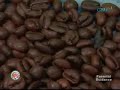 Pinoy Kape