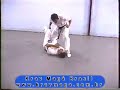 krav maga
