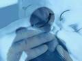 videos de John Williams - Cavatina