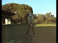 my swing and trevino