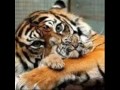 Día de la Madre!! (Mayo-2012)