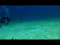 Scuba Diving St Thomas - Coki Beach