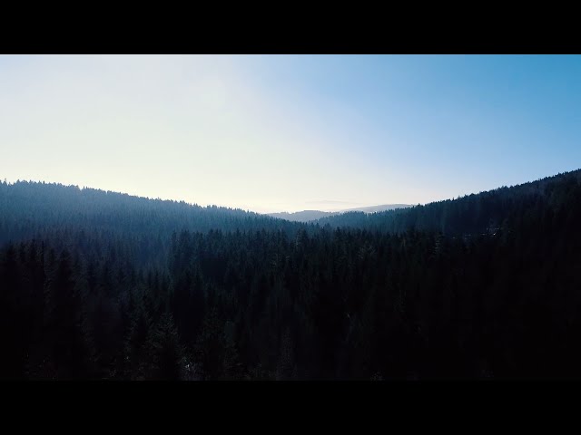 Ebike Bestellbestätigung