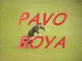 komik goller PAVO BOYA