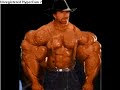 My Friend Chuck Norris by xpollox