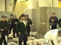 Tuna auction - Tsukiji Tuna auction - Tsukiji