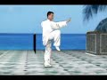 Combined Taijiquan 32 Forms
