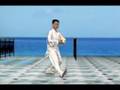 Combined Taijiquan 32 Forms