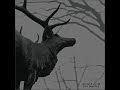transitions are back!

track listing:


desiderii marginis -- the ever green tree
agalloch -- the hawthorne passage
panzer ag -- sick is the one that adores me
kadenzza -- war phantasma
agnostic front -- gotta go
shamrain -- drifter
blood stain child -- nuclear trance
skyfire -- a dead mans race