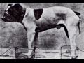 Eletrocardiografia Veterinária Parte 1 de 7