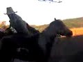 se callo chepe lopez de la llegua ombe se callo chepe lopez de la llegua ombe