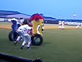 The Great Mascot Tire Race