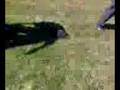 Auxier Gettin The Hell Beat Outta Him