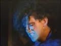 favourite video in the world