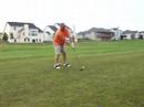 Scheer's swing