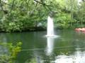 Het Vennenbos 2008