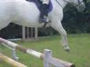 Faye Showjumping