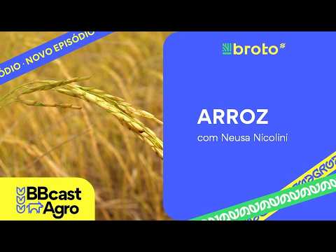 Arroz: preços baixos, queda de área e pressão nos custos marcam o mercado | BBcast Agro - 18/03/2026